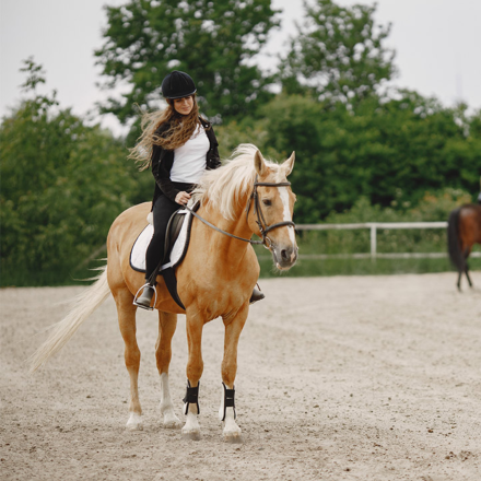 PONEY