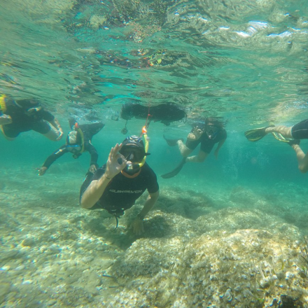 Snorkeling à Portissol, Sanary-sur-Mer<br />