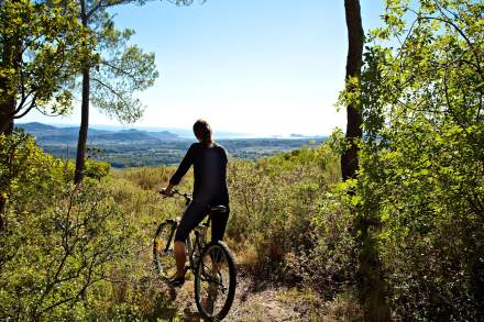 Mountain bike activity Castellet holidays