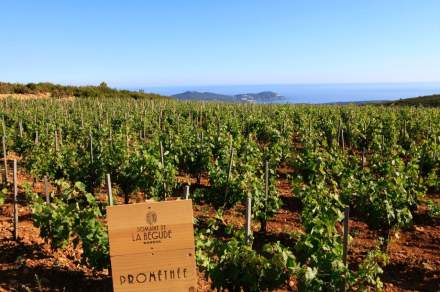 Dégustation vins Domaine Bégude Castellet