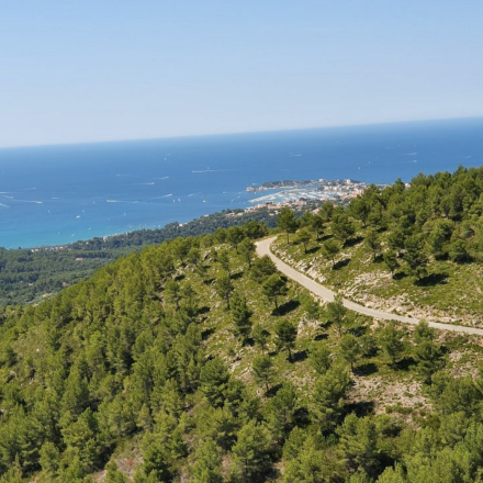 Le massif du Gros Cerveau