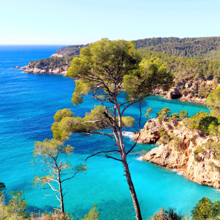 Sentier du littoral, de Bandol à Saint-Cyr-sur-Mer